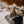 Load image into Gallery viewer, Quick-Dry Throw - Black - Paddle your own canoe