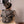 Load image into Gallery viewer, Southwest Baby / Kids Explore Romper Grey with black binding