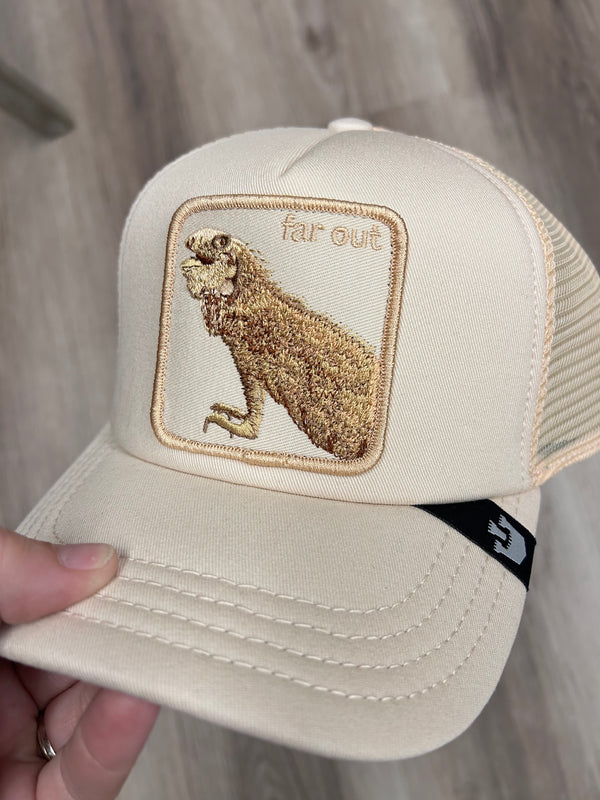 Goorin Bros - Far Out (Peach)