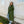 Load image into Gallery viewer, Mernini Raincoat - 42" - Chive Green
