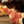 Load image into Gallery viewer, Nordic Wools Cozy Socks Asenka Cherry
