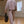 Load image into Gallery viewer, Hot Shot Recovery Set (Nordic Trail) - Free People
