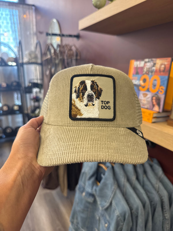 Goorin Bros - Top Dog - Cord - Taupe Mesh back